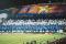 25-OM-PSG